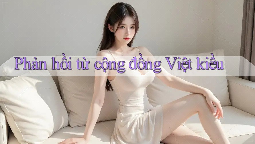 Phản hồi từ cộng đồng Việt kiều