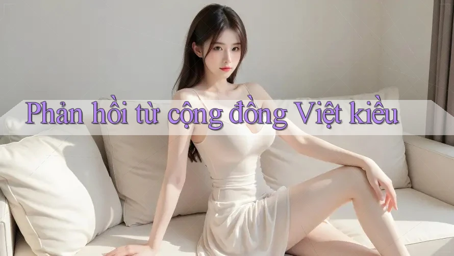 Phản hồi từ cộng đồng Việt kiều Phản hồi từ cộng đồng Việt kiều