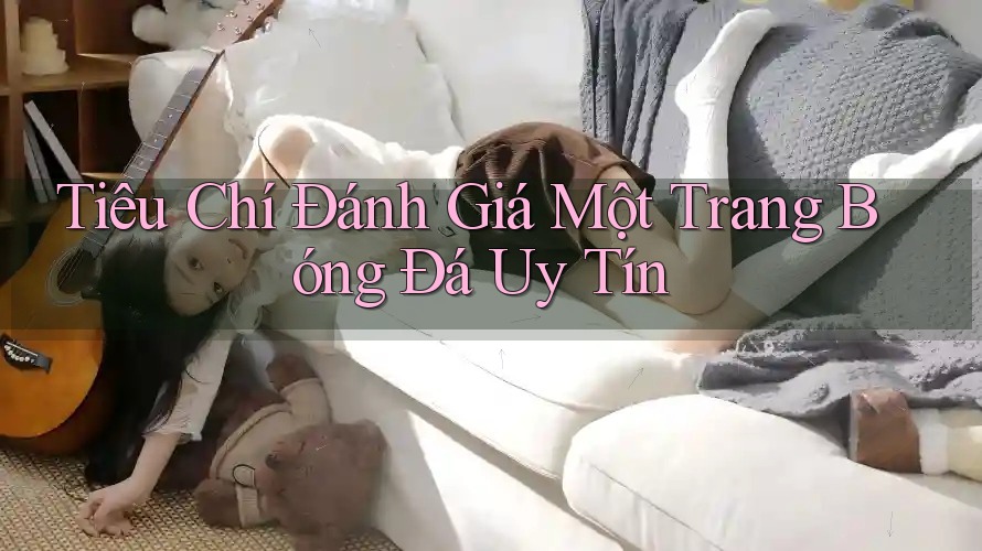 Tiêu Chí Đánh Giá Một Trang Bóng Đá Uy Tín Tiêu Chí Đánh Giá Một Trang Bóng Đá Uy Tín