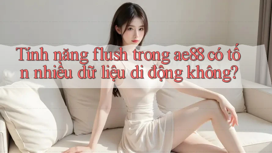 Tính năng flush trong ae88 có tốn nhiều dữ liệu di động không? Tính năng flush trong ae88 có tốn nhiều dữ liệu di động không?